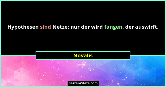 Hypothesen sind Netze; nur der wird fangen, der auswirft.... - Novalis