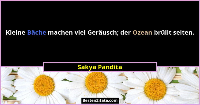 Kleine Bäche machen viel Geräusch; der Ozean brüllt selten.... - Sakya Pandita