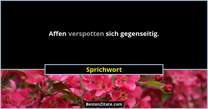 Affen verspotten sich gegenseitig.... - Sprichwort