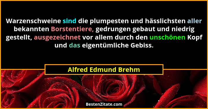 Warzenschweine sind die plumpesten und hässlichsten aller bekannten Borstentiere, gedrungen gebaut und niedrig gestellt, ausgeze... - Alfred Edmund Brehm