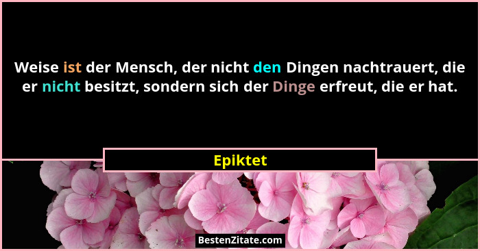 Weise ist der Mensch, der nicht den Dingen nachtrauert, die er nicht besitzt, sondern sich der Dinge erfreut, die er hat.... - Epiktet