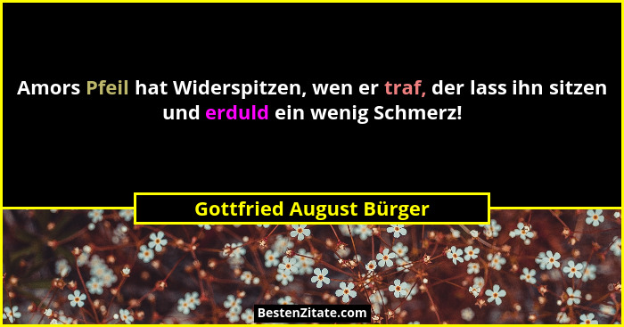 Amors Pfeil hat Widerspitzen, wen er traf, der lass ihn sitzen und erduld ein wenig Schmerz!... - Gottfried August Bürger