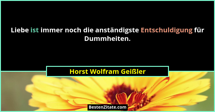 Liebe ist immer noch die anständigste Entschuldigung für Dummheiten.... - Horst Wolfram Geißler