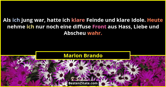 Als ich jung war, hatte ich klare Feinde und klare Idole. Heute nehme ich nur noch eine diffuse Front aus Hass, Liebe und Abscheu wahr... - Marlon Brando