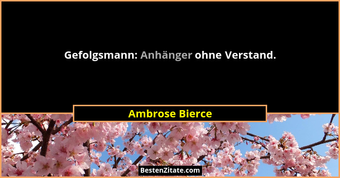 Gefolgsmann: Anhänger ohne Verstand.... - Ambrose Bierce