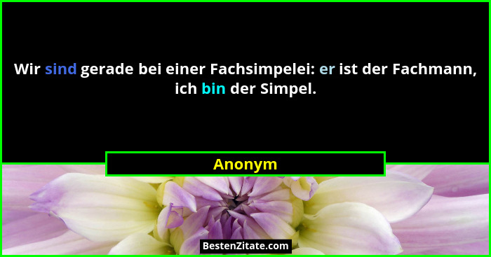 Wir sind gerade bei einer Fachsimpelei: er ist der Fachmann, ich bin der Simpel.... - Anonym