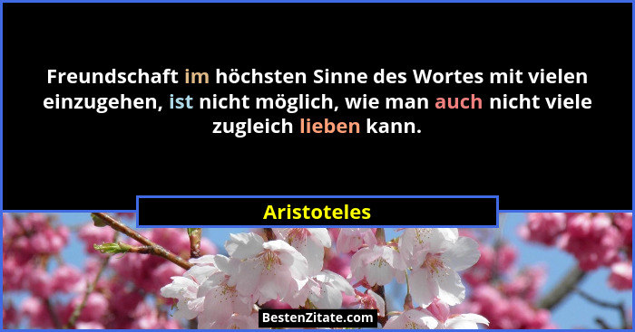 Freundschaft im höchsten Sinne des Wortes mit vielen einzugehen, ist nicht möglich, wie man auch nicht viele zugleich lieben kann.... - Aristoteles