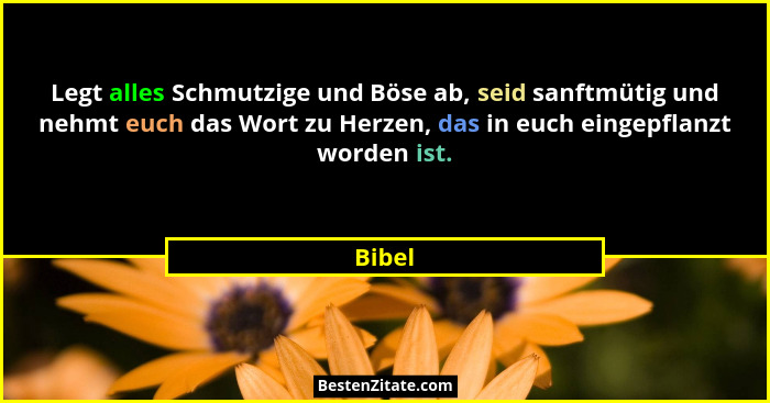 Legt alles Schmutzige und Böse ab, seid sanftmütig und nehmt euch das Wort zu Herzen, das in euch eingepflanzt worden ist.... - Bibel