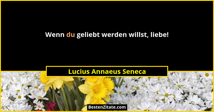 Wenn du geliebt werden willst, liebe!... - Lucius Annaeus Seneca