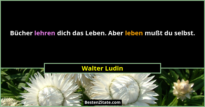 Bücher lehren dich das Leben. Aber leben mußt du selbst.... - Walter Ludin