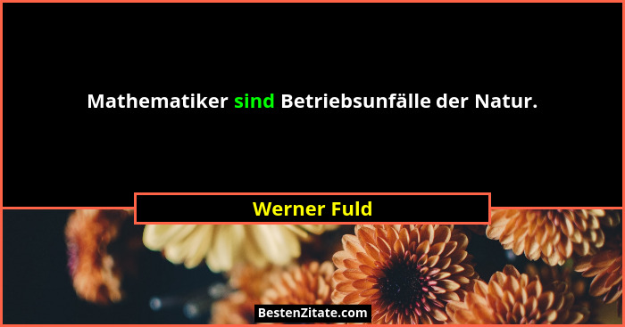 Mathematiker sind Betriebsunfälle der Natur.... - Werner Fuld