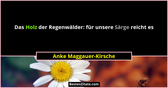 Das Holz der Regenwälder: für unsere Särge reicht es... - Anke Maggauer-Kirsche