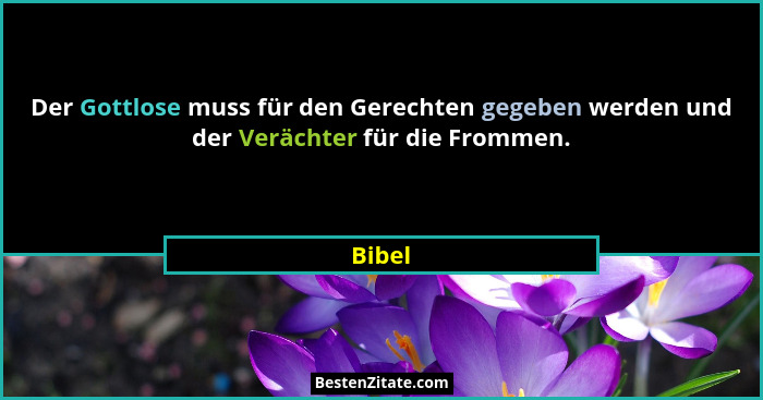 Der Gottlose muss für den Gerechten gegeben werden und der Verächter für die Frommen.... - Bibel