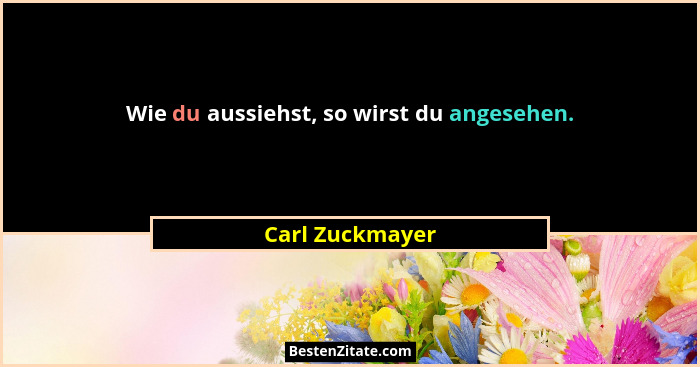 Wie du aussiehst, so wirst du angesehen.... - Carl Zuckmayer