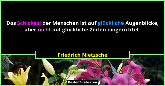 Das Schicksal der Menschen ist auf glückliche Augenblicke, aber nicht auf glückliche Zeiten eingerichtet.... - Friedrich Nietzsche