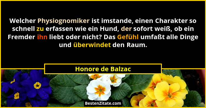Welcher Physiognomiker ist imstande, einen Charakter so schnell zu erfassen wie ein Hund, der sofort weiß, ob ein Fremder ihn liebt... - Honore de Balzac