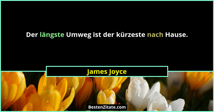 Der längste Umweg ist der kürzeste nach Hause.... - James Joyce