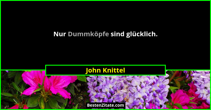 Nur Dummköpfe sind glücklich.... - John Knittel