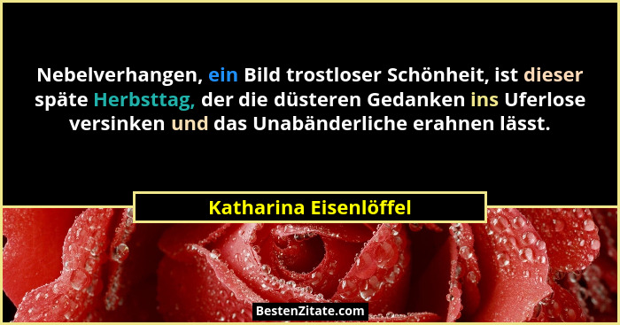 Nebelverhangen, ein Bild trostloser Schönheit, ist dieser späte Herbsttag, der die düsteren Gedanken ins Uferlose versinken un... - Katharina Eisenlöffel