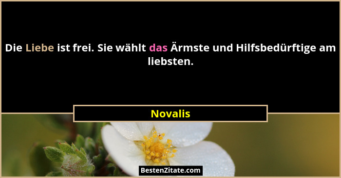 Die Liebe ist frei. Sie wählt das Ärmste und Hilfsbedürftige am liebsten.... - Novalis
