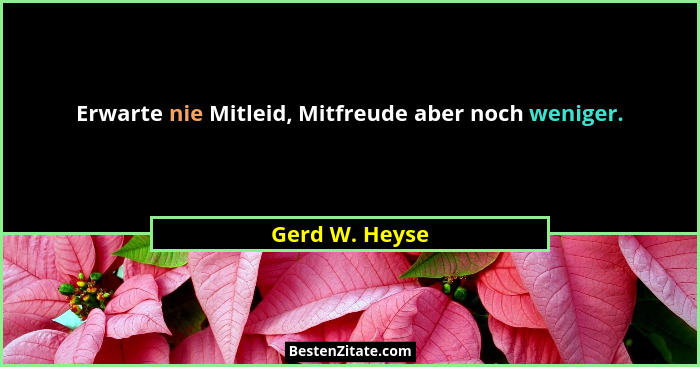 Erwarte nie Mitleid, Mitfreude aber noch weniger.... - Gerd W. Heyse