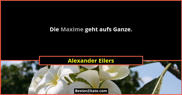 Die Maxime geht aufs Ganze.... - Alexander Eilers