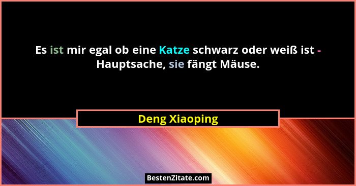 Es ist mir egal ob eine Katze schwarz oder weiß ist - Hauptsache, sie fängt Mäuse.... - Deng Xiaoping