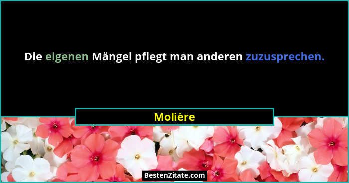 Die eigenen Mängel pflegt man anderen zuzusprechen.... - Molière