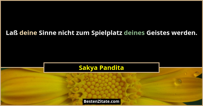 Laß deine Sinne nicht zum Spielplatz deines Geistes werden.... - Sakya Pandita