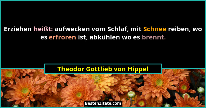 Erziehen heißt: aufwecken vom Schlaf, mit Schnee reiben, wo es erfroren ist, abkühlen wo es brennt.... - Theodor Gottlieb von Hippel