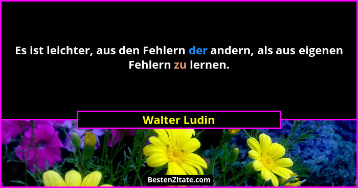 Es ist leichter, aus den Fehlern der andern, als aus eigenen Fehlern zu lernen.... - Walter Ludin