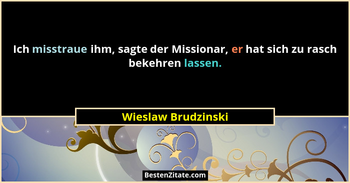 Ich misstraue ihm, sagte der Missionar, er hat sich zu rasch bekehren lassen.... - Wieslaw Brudzinski