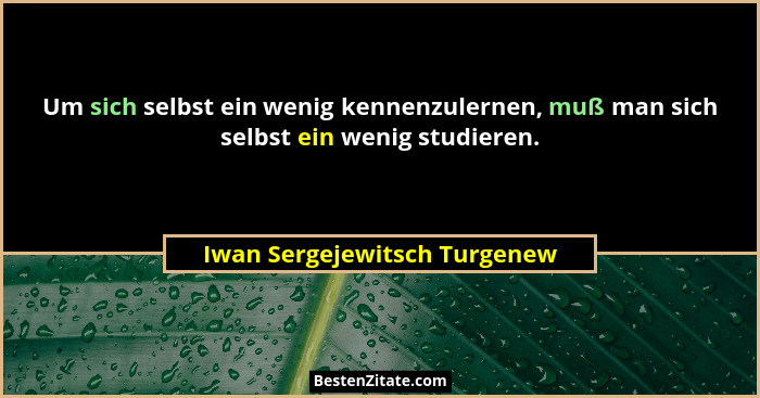Um sich selbst ein wenig kennenzulernen, muß man sich selbst ein wenig studieren.... - Iwan Sergejewitsch Turgenew