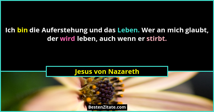 Ich bin die Auferstehung und das Leben. Wer an mich glaubt, der wird leben, auch wenn er stirbt.... - Jesus von Nazareth