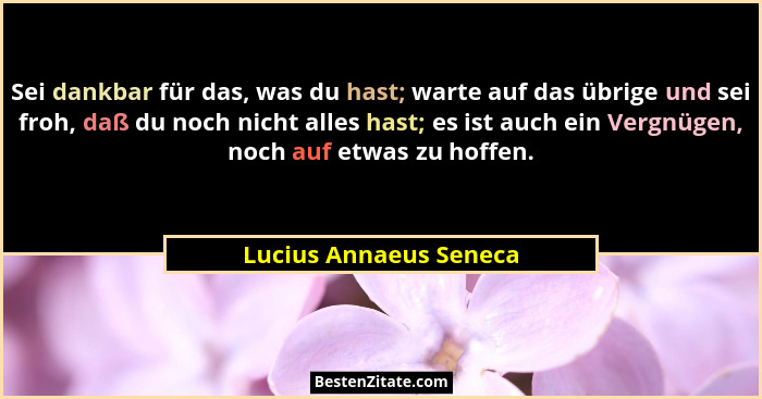 Sei dankbar für das, was du hast; warte auf das übrige und sei froh, daß du noch nicht alles hast; es ist auch ein Vergnügen,... - Lucius Annaeus Seneca