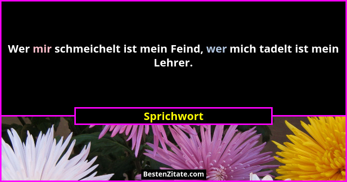 Wer mir schmeichelt ist mein Feind, wer mich tadelt ist mein Lehrer.... - Sprichwort