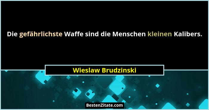 Die gefährlichste Waffe sind die Menschen kleinen Kalibers.... - Wieslaw Brudzinski