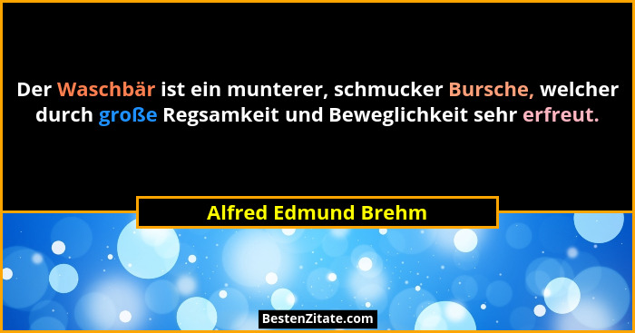 Der Waschbär ist ein munterer, schmucker Bursche, welcher durch große Regsamkeit und Beweglichkeit sehr erfreut.... - Alfred Edmund Brehm