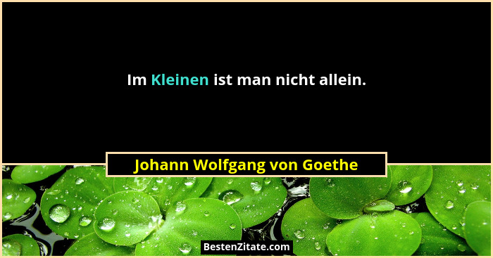 Im Kleinen ist man nicht allein.... - Johann Wolfgang von Goethe