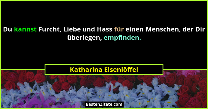 Du kannst Furcht, Liebe und Hass für einen Menschen, der Dir überlegen, empfinden.... - Katharina Eisenlöffel