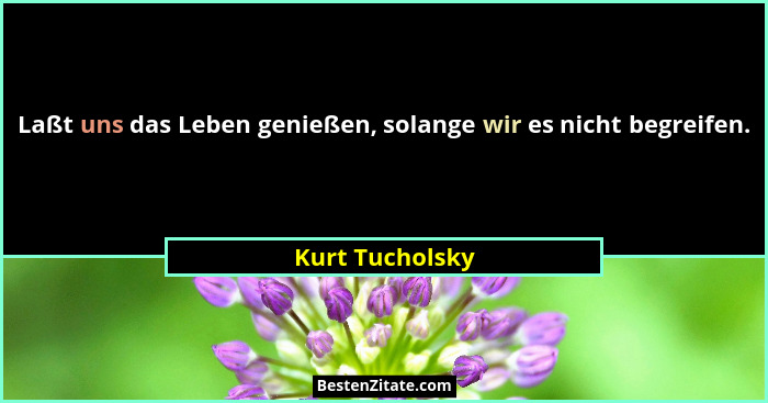 Laßt uns das Leben genießen, solange wir es nicht begreifen.... - Kurt Tucholsky