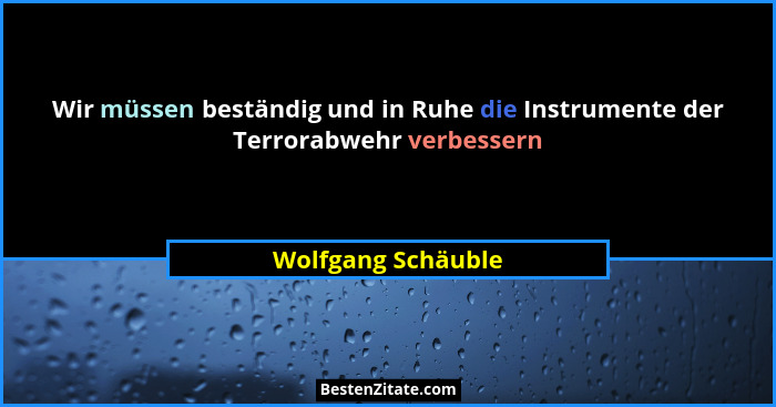 Wir müssen beständig und in Ruhe die Instrumente der Terrorabwehr verbessern... - Wolfgang Schäuble