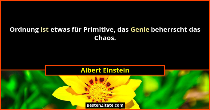 Ordnung ist etwas für Primitive, das Genie beherrscht das Chaos.... - Albert Einstein
