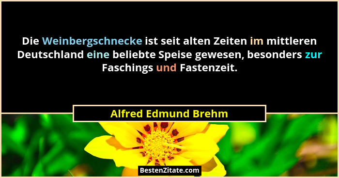 Die Weinbergschnecke ist seit alten Zeiten im mittleren Deutschland eine beliebte Speise gewesen, besonders zur Faschings und Fa... - Alfred Edmund Brehm