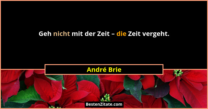 Geh nicht mit der Zeit – die Zeit vergeht.... - André Brie