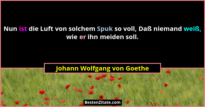 Nun ist die Luft von solchem Spuk so voll, Daß niemand weiß, wie er ihn meiden soll.... - Johann Wolfgang von Goethe