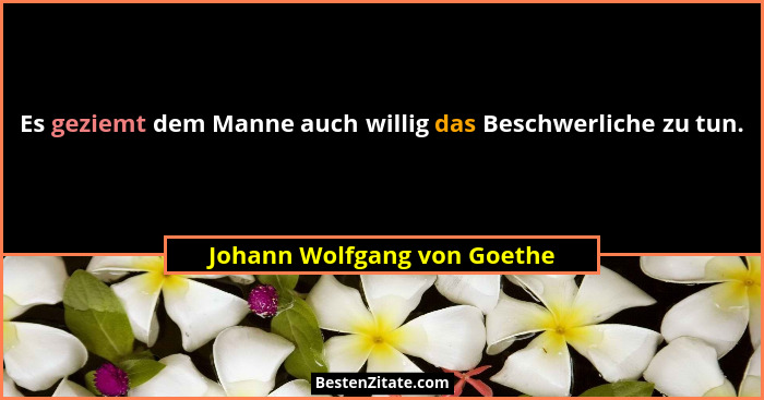 Es geziemt dem Manne auch willig das Beschwerliche zu tun.... - Johann Wolfgang von Goethe