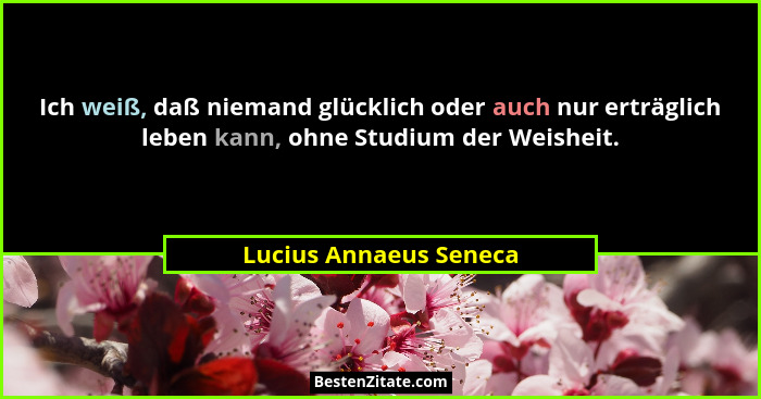 Ich weiß, daß niemand glücklich oder auch nur erträglich leben kann, ohne Studium der Weisheit.... - Lucius Annaeus Seneca