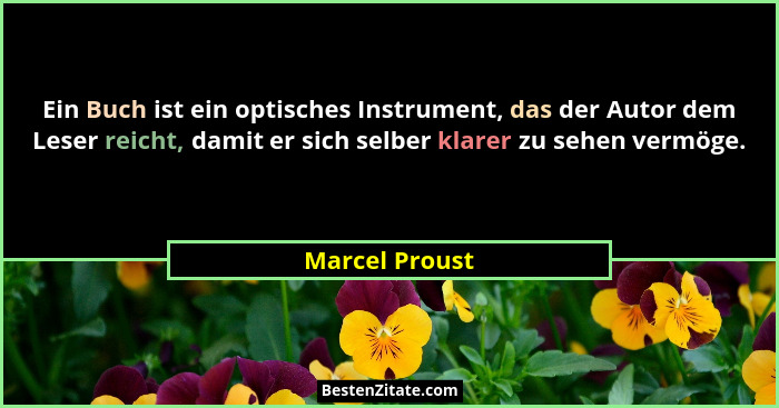 Ein Buch ist ein optisches Instrument, das der Autor dem Leser reicht, damit er sich selber klarer zu sehen vermöge.... - Marcel Proust