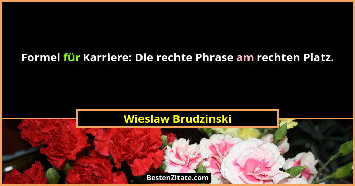Formel für Karriere: Die rechte Phrase am rechten Platz.... - Wieslaw Brudzinski